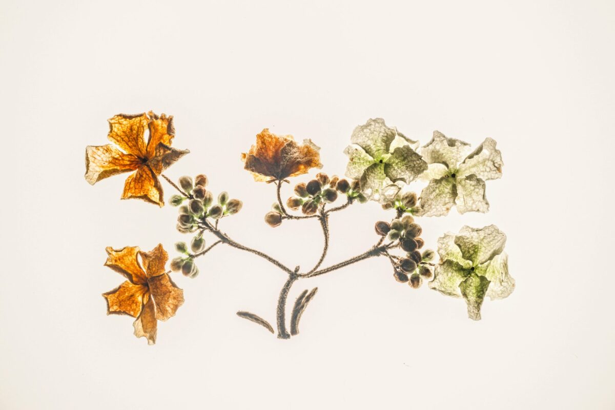 Handcrafted Italian Leather Floral Journal